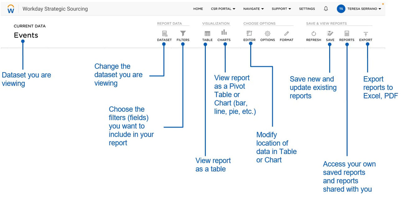 Strategic Sourcing Reporting - Report Page Screenshot